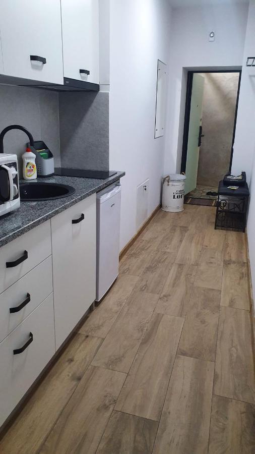Demar Apart Violet Lviv Dış mekan fotoğraf