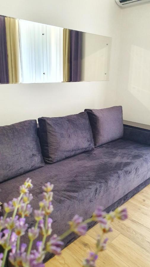Demar Apart Violet Lviv Dış mekan fotoğraf